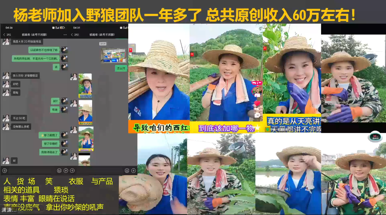 野狼团队·多平台实操运营课（更新4月）